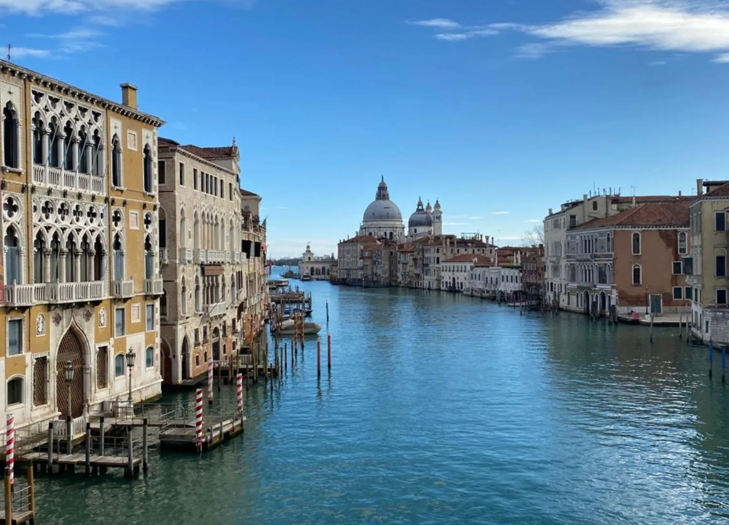 Wow Garden In The Heart Of Venice
