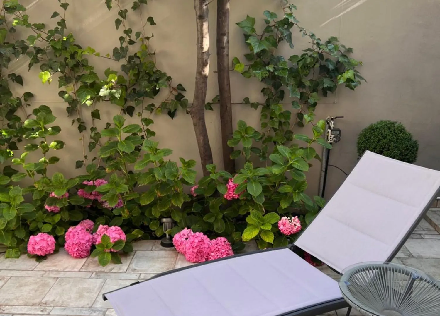 Wow Garden In The Heart Of Venice Apartment