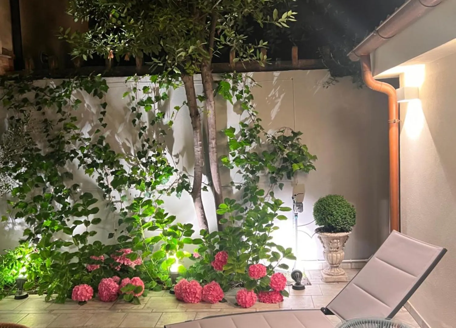 Wow Garden In The Heart Of Venice Italy