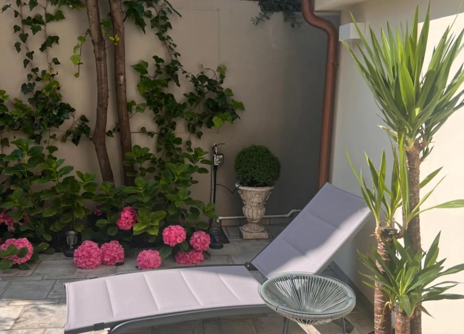 Wow Garden In The Heart Of Veneza